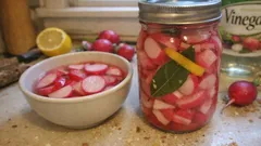 Eingelegte Radieschen in 15 Minuten – knackig mit Zitrone, Weißweinessig und Lorbeer