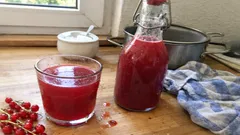 Johannisbeersaft selber kochen: so wird er fruchtig, klar und lange haltbar