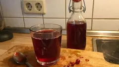 Johannisbeerwein selber machen: fruchtiger Hauswein mit ruhiger Reifezeit