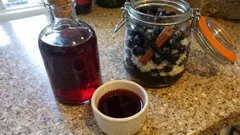 Schlehenlikör mit Gin ansetzen: einfaches Hausrezept mit Vanille und Zimt