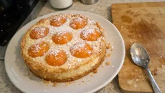 Aprikosen-Käsekuchen mit Mürbeteig: cremig, fruchtig und ganz unkompliziert gebacken